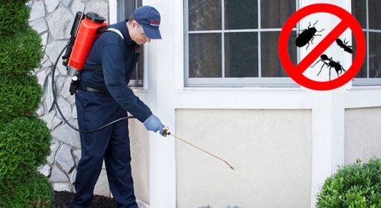 Kurucaşile Akrep İlaçlama böcek ilaçlama ve haşere kontrolü — ilaclama-tr.com